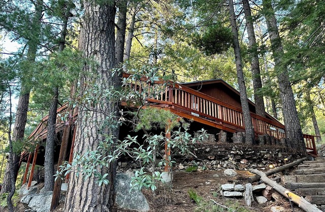 Cozy Cabin in the Pines