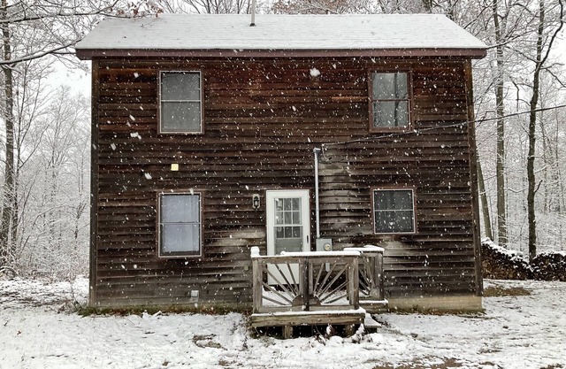 Cozy cabin in the woods