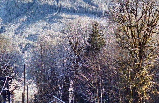 Cozy cabin on the river near Stevens Pass. Pet friendly with lots of amenities