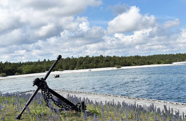 Cozy cottage on Gotland with sauna near salty baths | SE12017