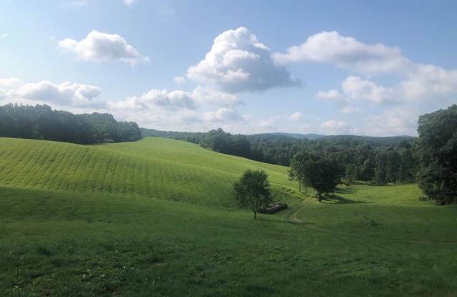 Cozy cottage with amazing views just 10 minutes to Blacksburg. Pet-friendly!