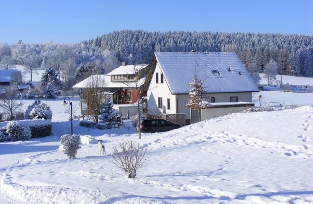 Cozy Family Apartment