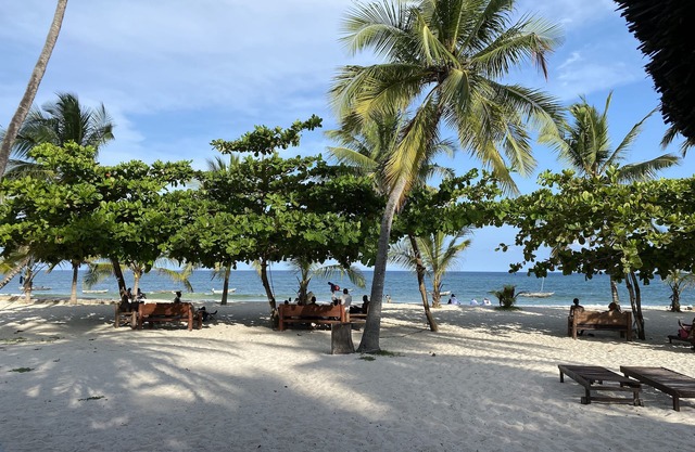 Cozy froant beach studion