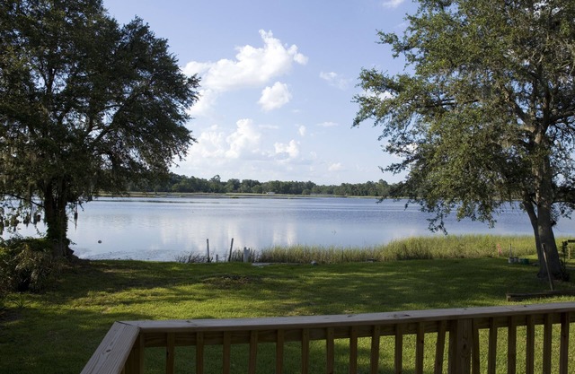 Cozy house on the river, enjoy the view or fish right off the river bank