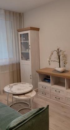 Cozy Kaunas apartment