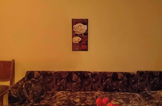 Cozy little flat in Karlovo
