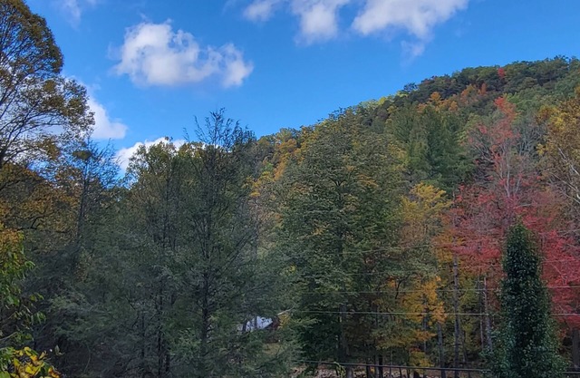 Cozy Log Cabin Getaway Waynesville, Smokey Mountains, Blue ridge Parkway