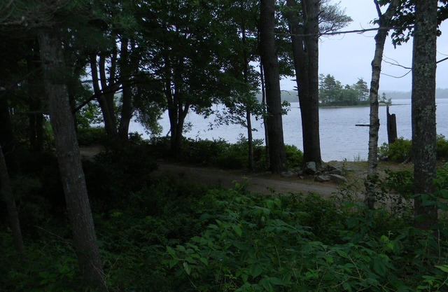 Cozy Nook Cottage - Peaceful cottage with scenic views of Pemaquid Lake
