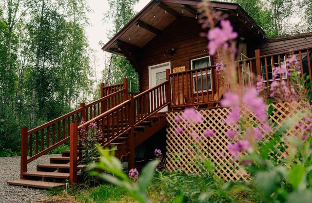 Cozy pet friendly cabin with stand alone sauna near Willow and Talkeetna Alaska