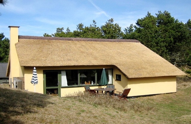 Cozy stone holiday home on dune plot, with WiFi and oven