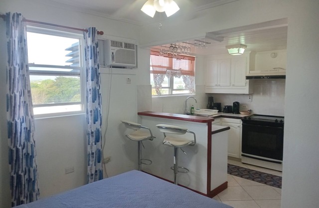 Cozy Studio apartment in charming Bridgetown with AC -Apartment 3D