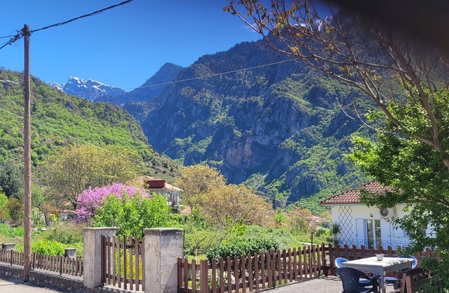 Cozy studio in beautiful Konitsa with AC, WiFi