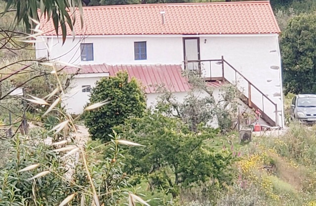 Cozy studio in the mountains of Central Portugal! Vegan and pet friendly!
