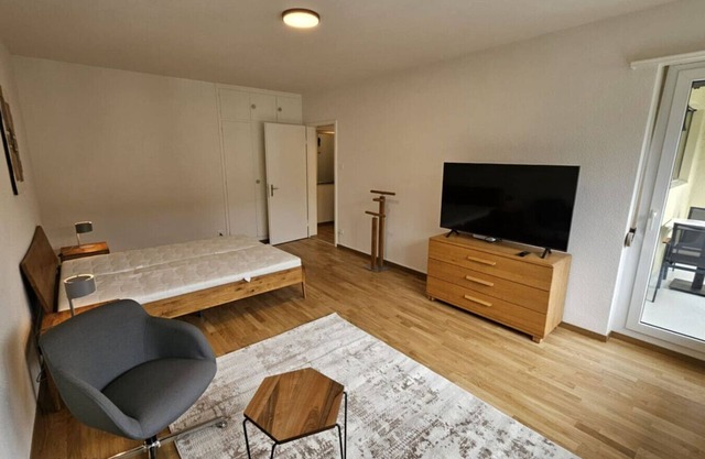 Cozy studio near train station (Wille 7)