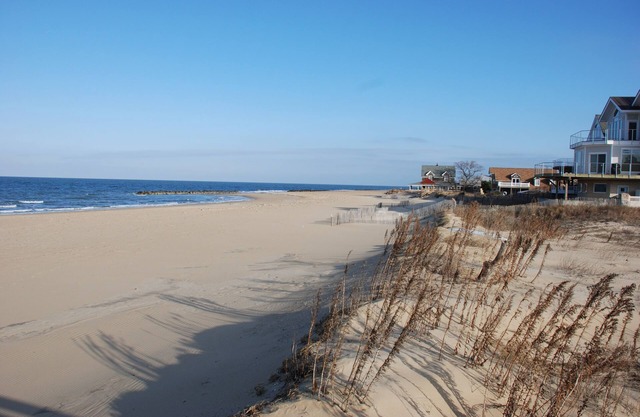 Cozy Suite - Pet friendly, Beach Side by RedAwning