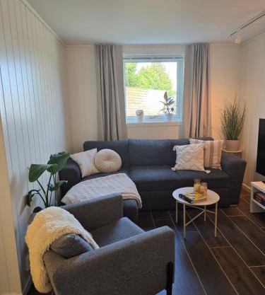 Cozy Tromsø apartment