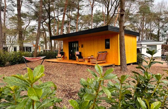 Cozy woodland retreat hideaway nestled in serene forest beauty. Pet-Friendly!