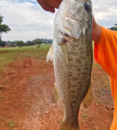 CradleLicious camp & caravan