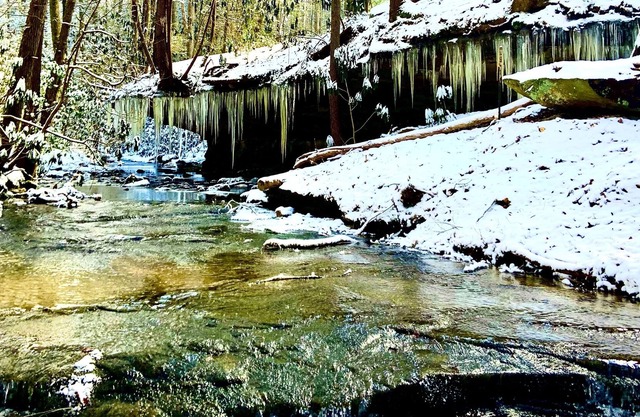 Creek side cabin, Blair Creek Resort - Cabin #2