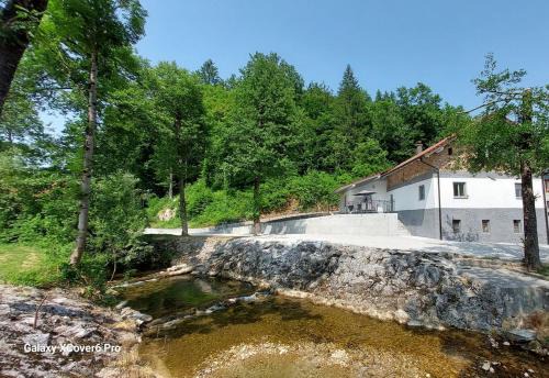 Creekside House with pool