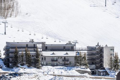 Crested Butte Mountain Resort Properties