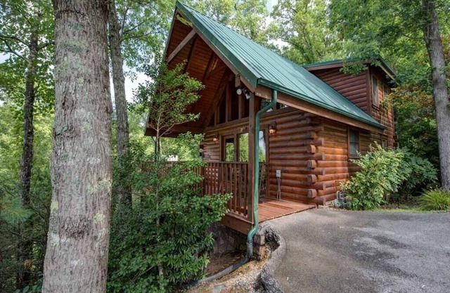 Cub’s Cove | Hot Tub + Pool Table! Near Downtown