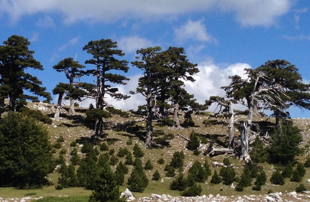 "CUORE DEL POLLINO" Locazione turistica