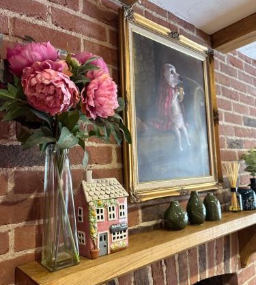 Curiosity Cottage