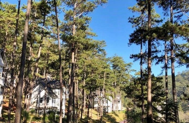 Da Lat Luxury Lake View Luis Villa