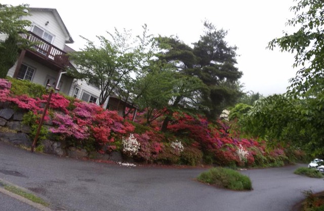 Daecheon Ocean Hill Pension