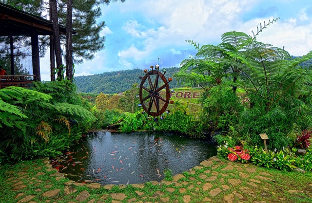 Dahilayan Forest Park Resort