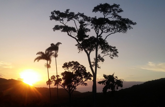 Daintree Holiday Homes - Yurara - Ocean Views and a Luxury Spa Bath for Two