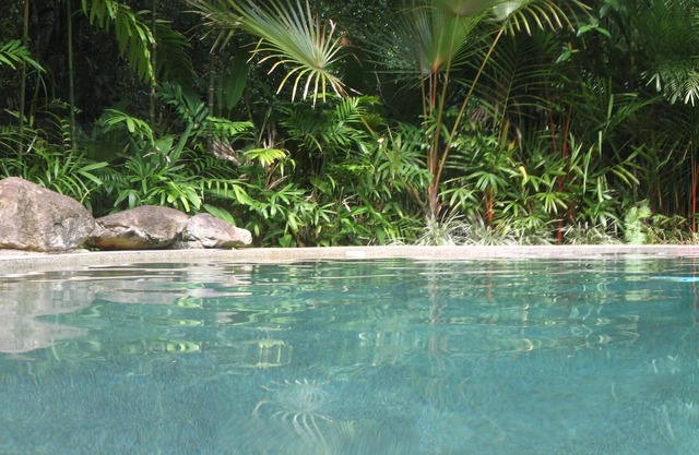 Daintree Rainforest Retreat