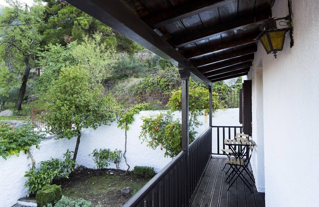 Dandy on the Hill in Parnassus| Villa Pasifne - Amfikleia Village |