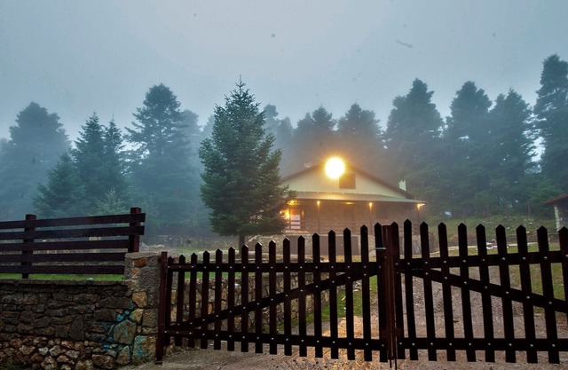 Dandy Villas Elatodasos - Chalet Artemis - Fir Forest - Jeep & Nature Lovers