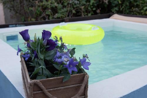 Dandy Villas Tsagkarada - Blue Pansy - Mini Pool