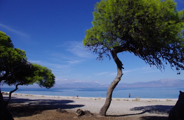 Daphne's Club Hotel Apartments