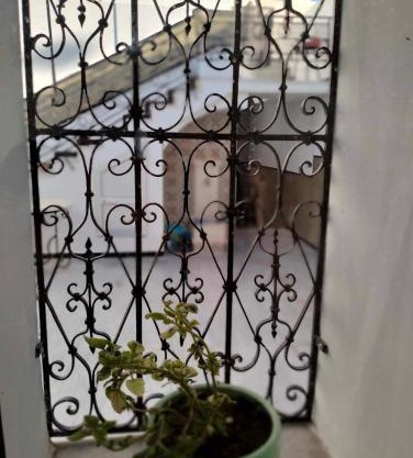 Dar lekhle3a Tayssir