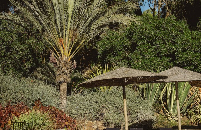 Dar Maktoub