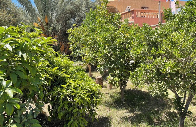 Dar Mona– Your Tranquil Escape Near TaroudantnJust 3km from Taroudant center