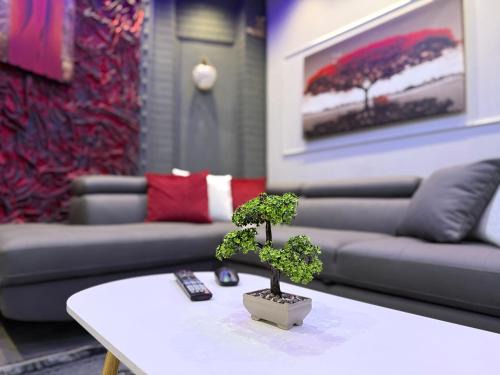 David Apartment