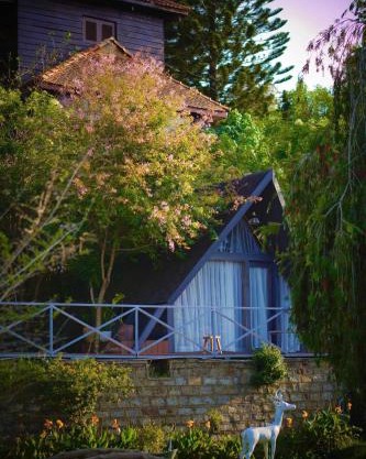 DD Hospitality - Mây Bách Đà lạt