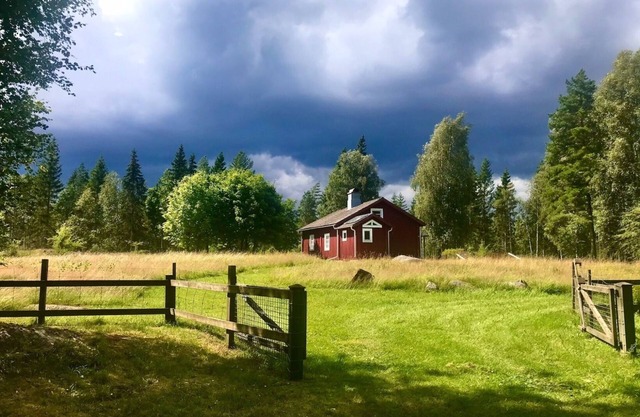 Deceleration In the deep forests of Småland
