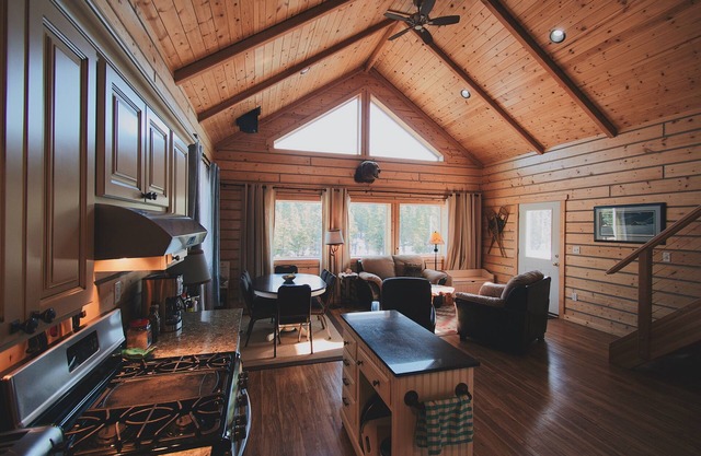 Denali Bear Cabin w/Hot Tub, Entire Cabin, Private, 3 beds