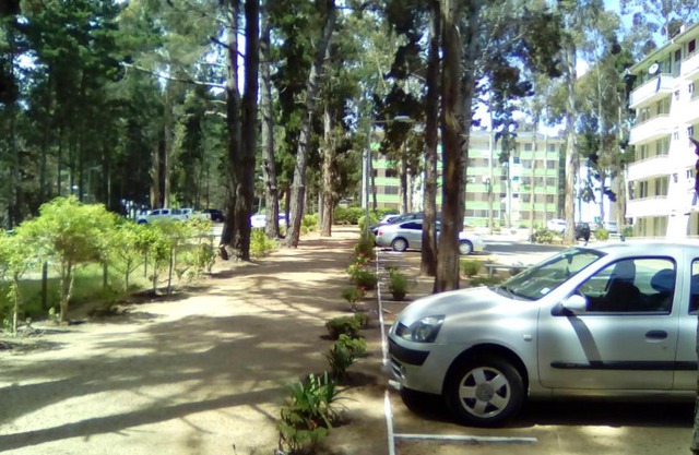 Departamento Bosques del Tabo