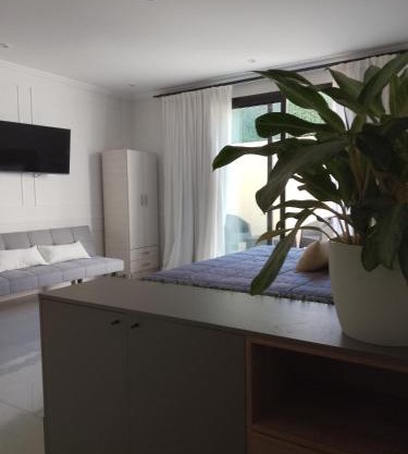 Departamento monoambiente "Pellegrini' en el centro