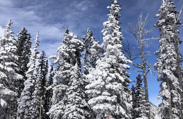 Desireable Aspens' Berry Patch Condo Creekside Secluded New Bathroom & Floors