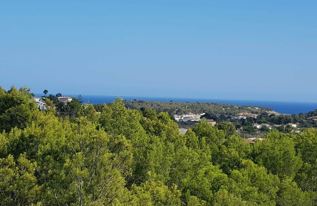 Detached house with terrace in the middle of a pine forest with sea view