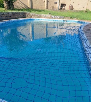 Diamonds on 2 Patricia Place