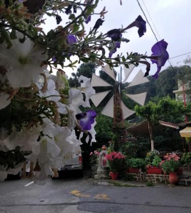 Dionysus House Lasithi Plateau